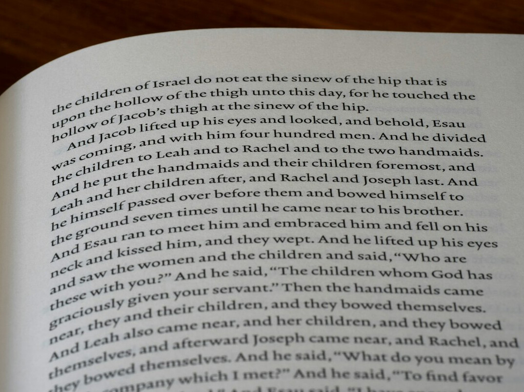 twisted plot book